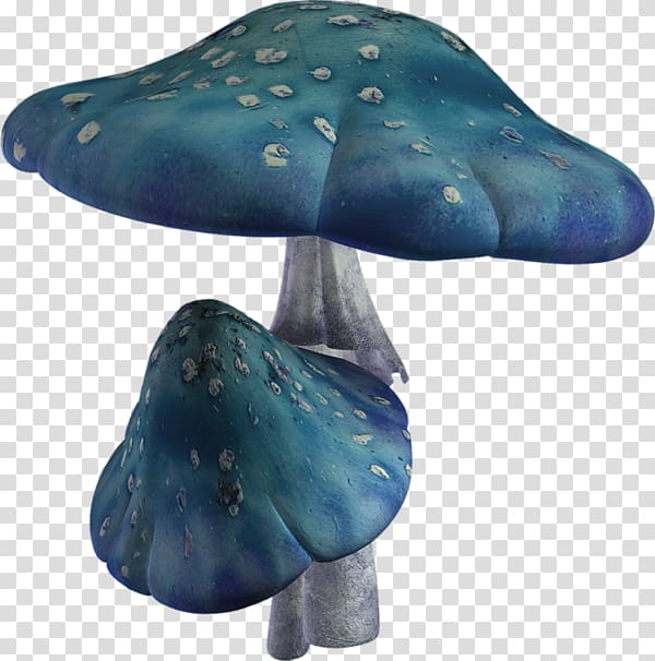 two blue mushrooms art, Hot pot Mushroom Shiitake, Blue Mushroom transparent background PNG clipart
