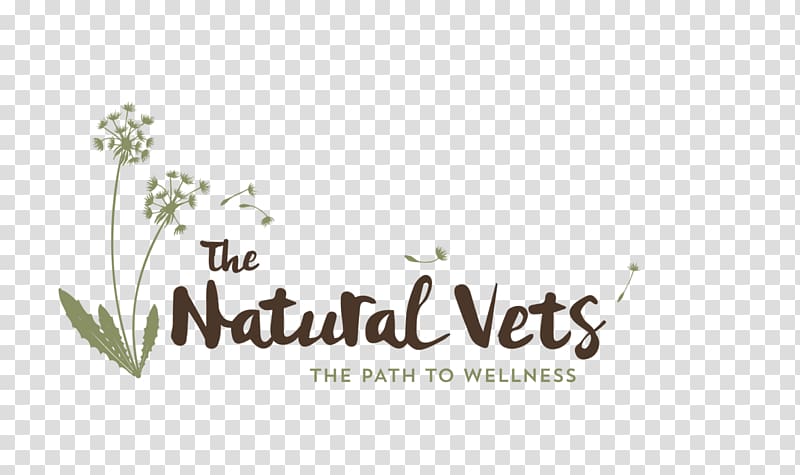 The Natural Vets Dog Veterinarian Holistic veterinary medicine, Dog transparent background PNG clipart