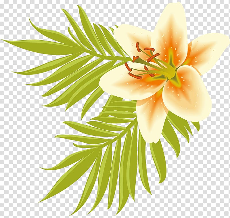 Floral design Cut flowers Petal, design transparent background PNG clipart Floral design Cut flowers Petal, design transparent background PNG clipart