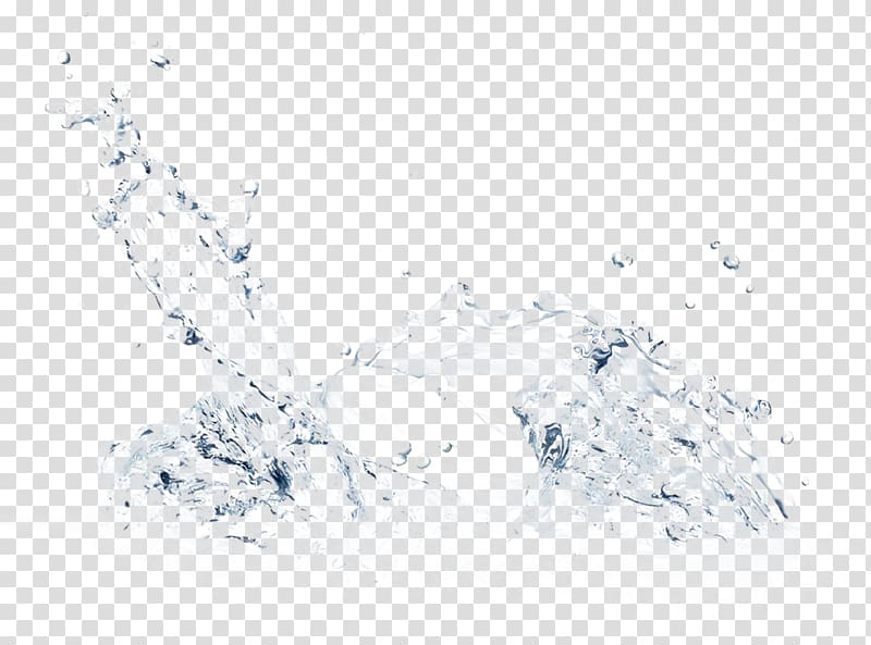 Water Cream, water,Hydra transparent background PNG clipart