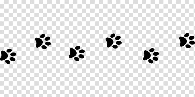 Line Of Paw Prints transparent background PNG clipart