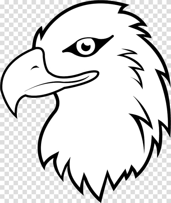 cartoon eagle drawing