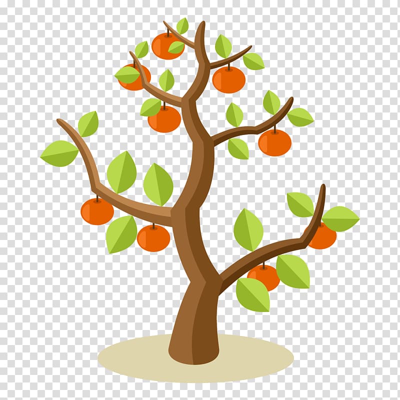 orange tree , Apple Fruit tree , apple tree transparent background PNG clipart