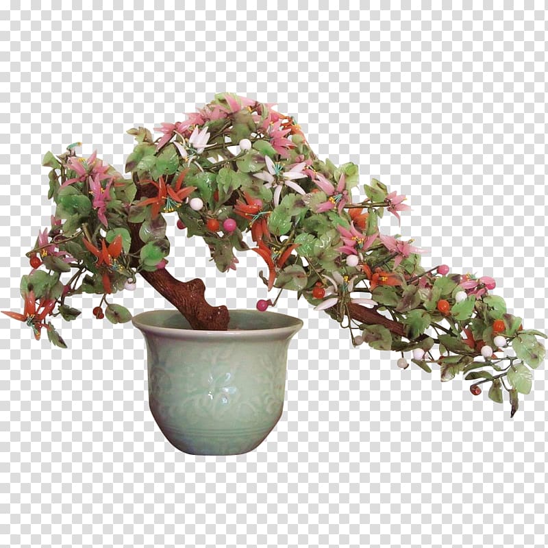 Jade plant Chinese jade Tree Bonsai, jade flower transparent background PNG clipart