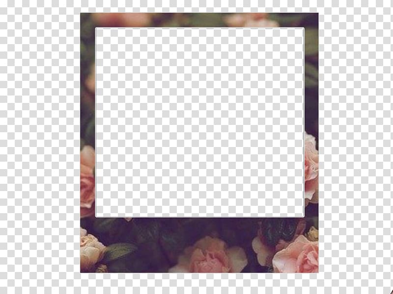 Frames Polaroid Adobe Flash Player Pattern, polaroid transparent background PNG clipart