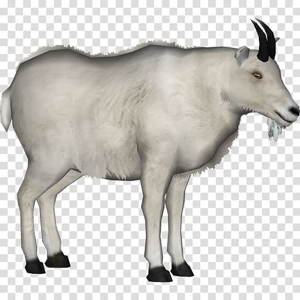 Mountain goat Animal Platypus, goat transparent background PNG clipart