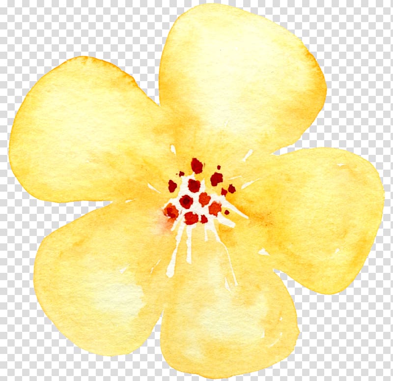 small yellow flowers transparent background PNG clipart