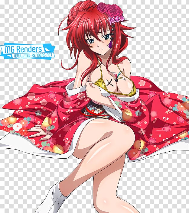 Rias Gremory Anime High School DxD Rendering, Anime transparent background ...