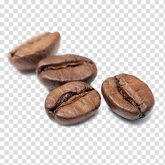 Jamaican Blue Mountain Coffee Cocoa bean Caffeine Commodity Cacao tree, water coffee transparent background PNG clipart
