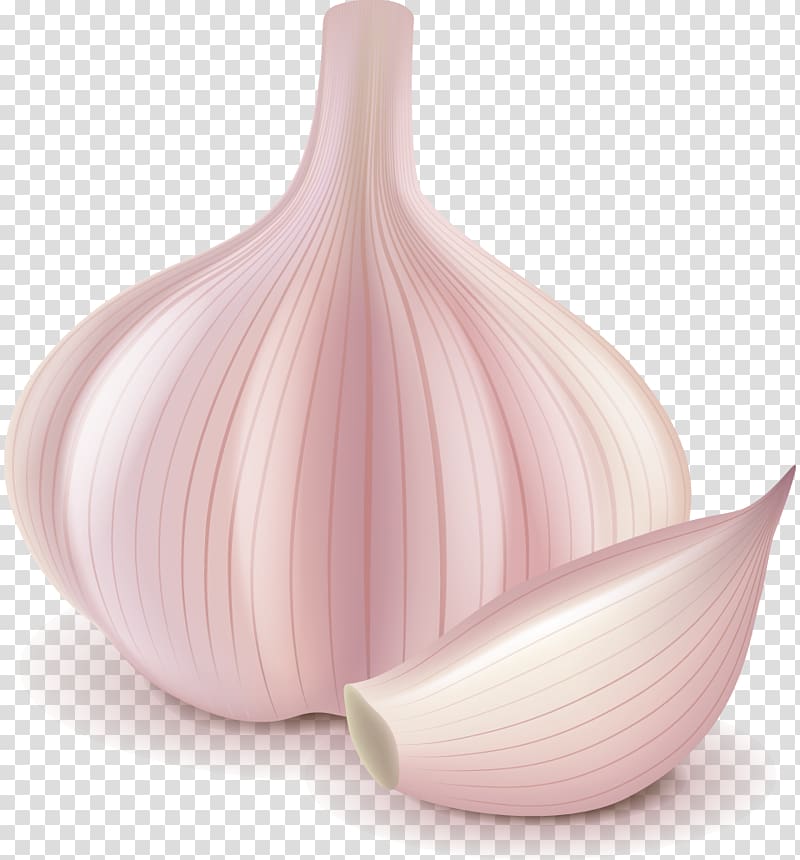 Garlic Ingredient Food Shallot, garlic transparent background PNG clipart