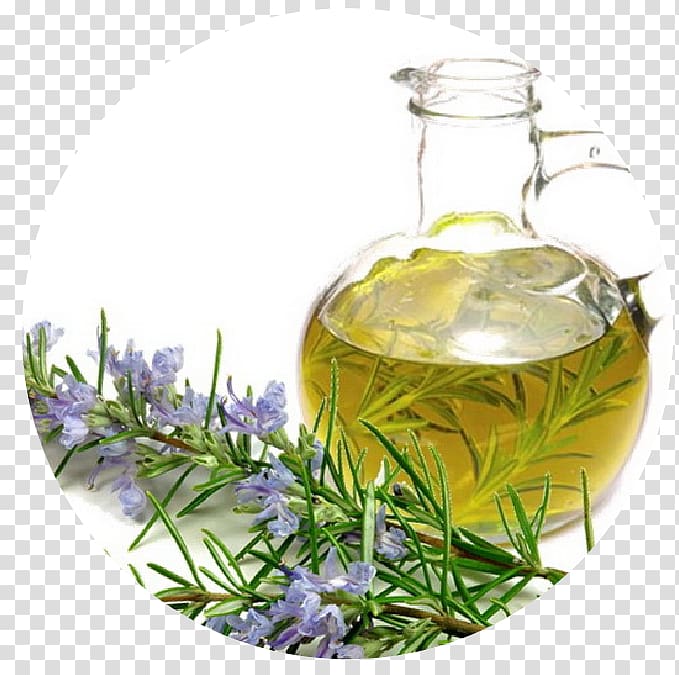 Rosemary oil Essential oil Olive oil, oil transparent background PNG clipart