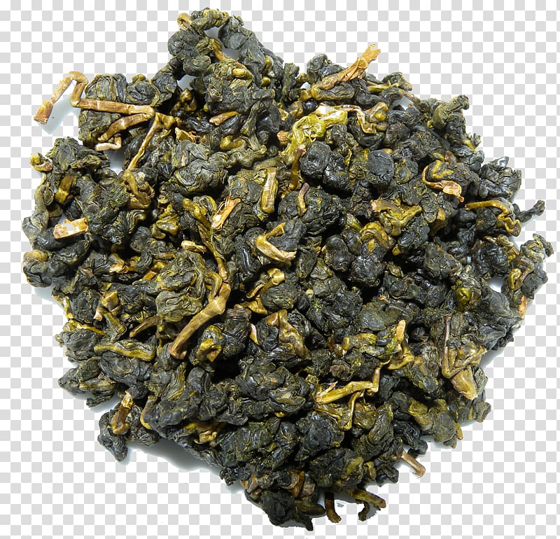 Gunpowder tea Oolong Nilgiri tea Green tea, green tea transparent background PNG clipart
