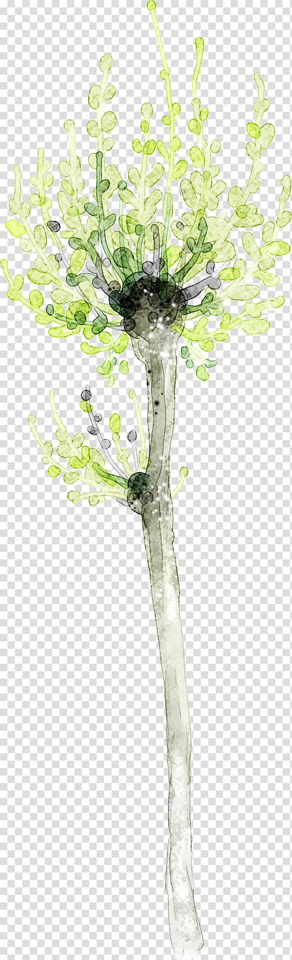 Paper Leaf Twig Tree Printing, Fresh green leaves of the tree transparent background PNG clipart