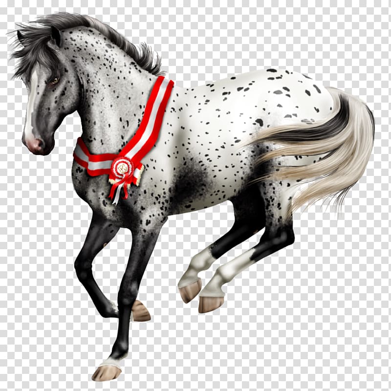 Stallion Knabstrupper Pony Colt Drawing, the horse exempts transparent background PNG clipart
