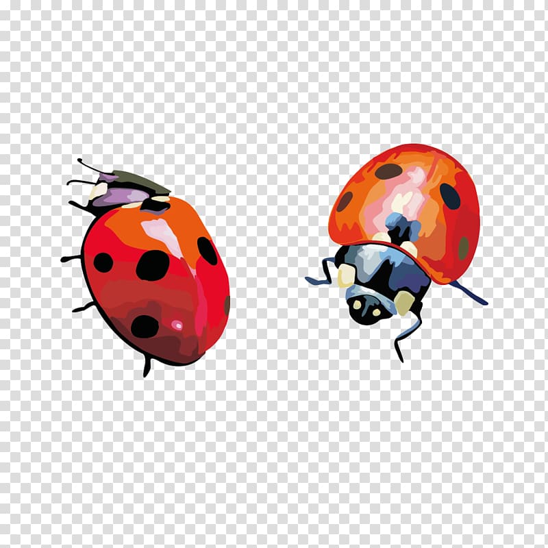 Coccinella septempunctata Insect , Hand-painted ladybug material transparent background PNG clipart