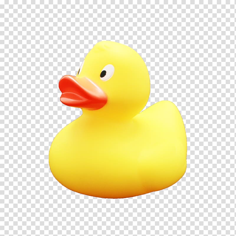 Duck Toy, rubber duck transparent background PNG clipart