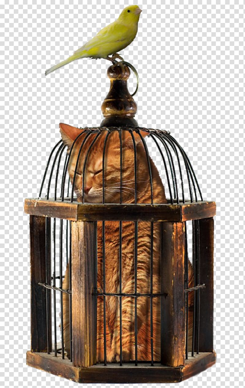 Cage Cat Bird Pet, hamster transparent background PNG clipart