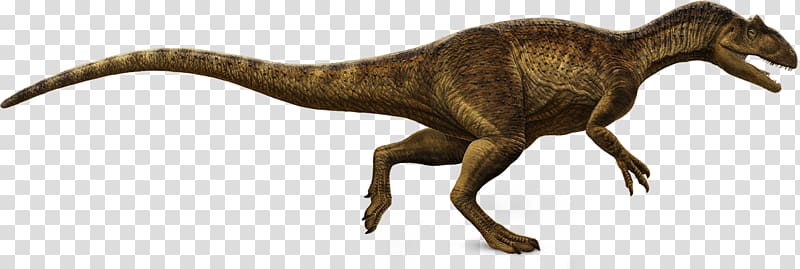 Tyrannosaurus Dinosaur Allosaurus Daspletosaurus Majungasaurus, dinosaur transparent background PNG clipart