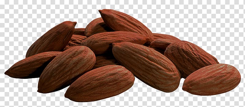 Almond Nut , Dried Fruit Nut transparent background PNG clipart