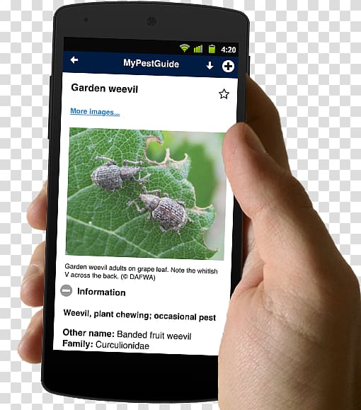 Smartphone Text messaging Finger Agriculture, smartphone transparent background PNG clipart