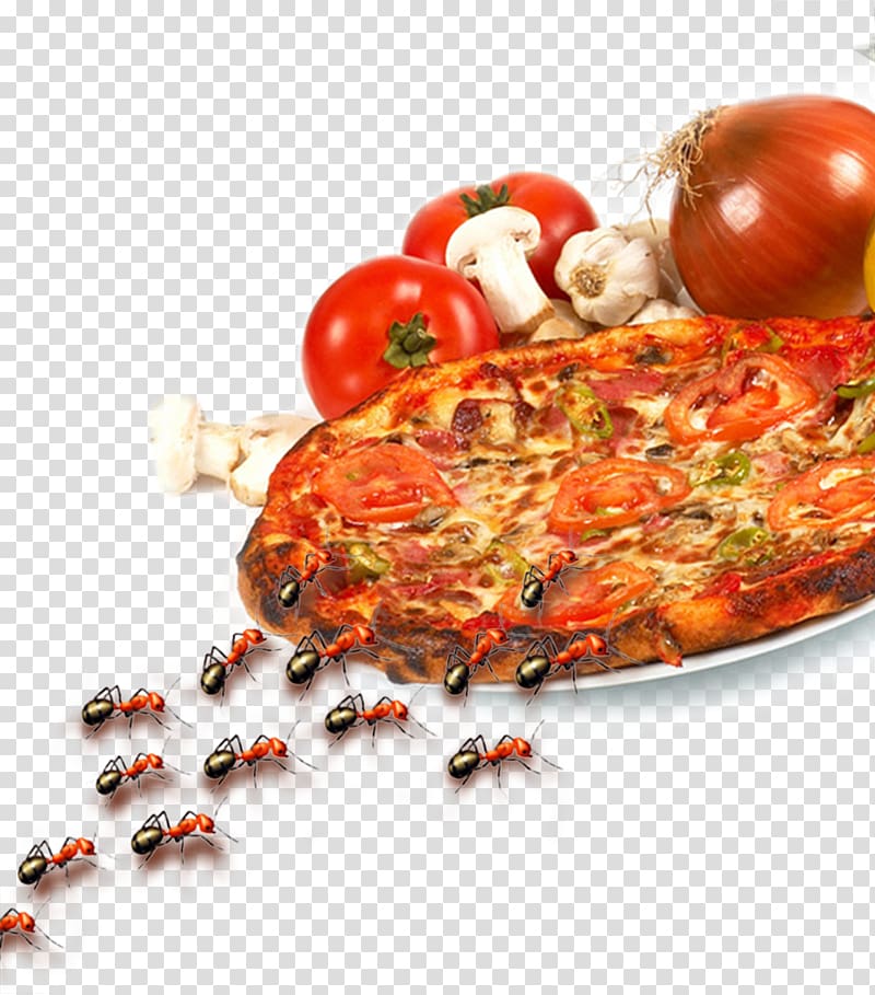 Pizza European cuisine Italian cuisine Food, Pizza transparent background PNG clipart
