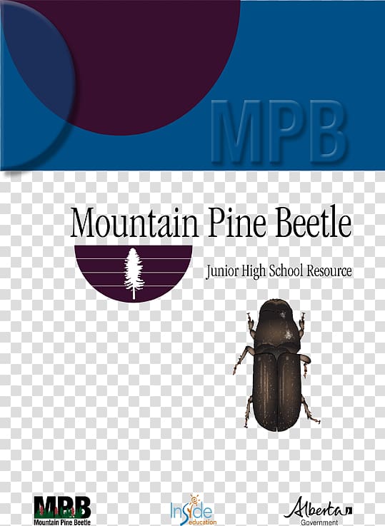 Graphic design Mountain pine beetle Brand Product design, high school english 1 curriculum map transparent background PNG clipart