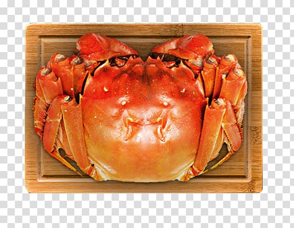 Dungeness crab King crab Chinese mitten crab, Wooden tray crabs main map transparent background PNG clipart