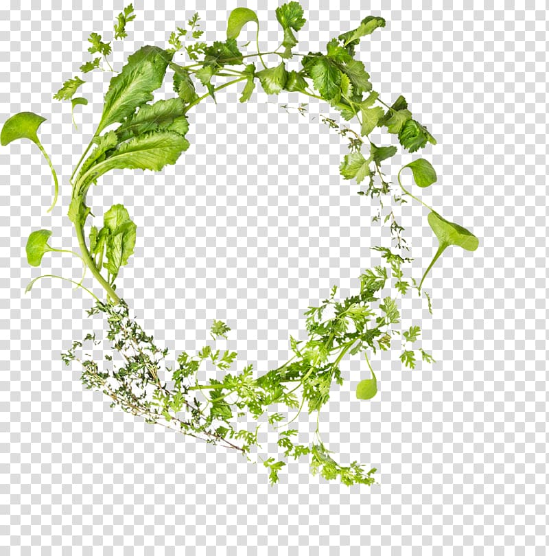 green leafed plant , Green garland transparent background PNG clipart
