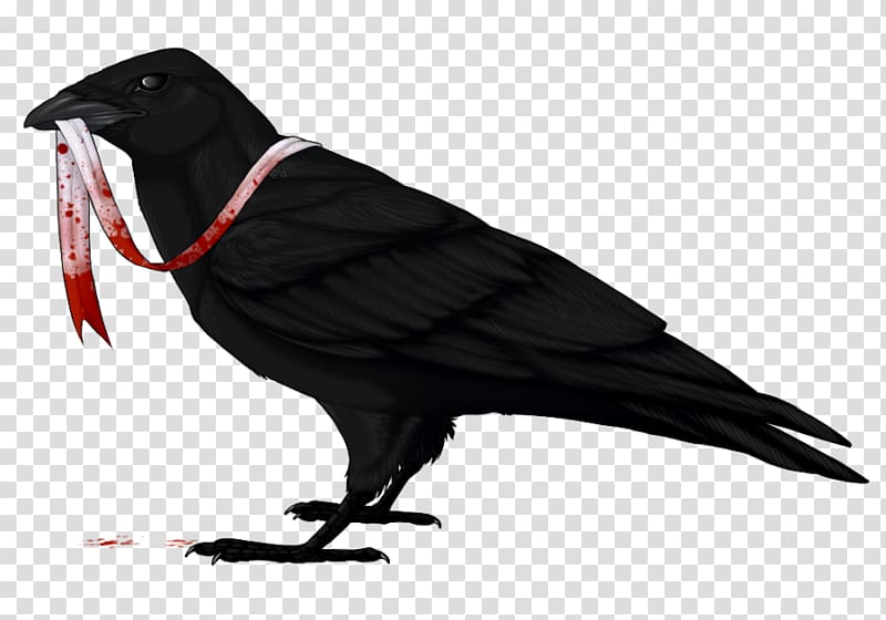 American crow Common raven Bird Drawing, raven transparent background PNG clipart