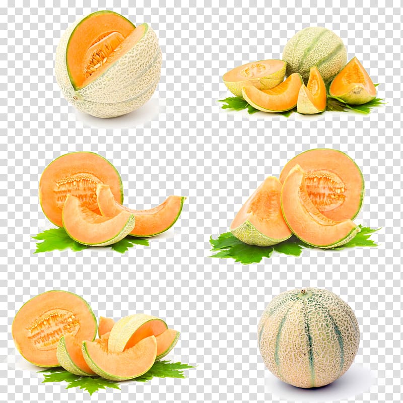 sliced melon s, Hami melon Honeydew Galia melon Santa Claus melon Cantaloupe, Six different forms of melon transparent background PNG clipart
