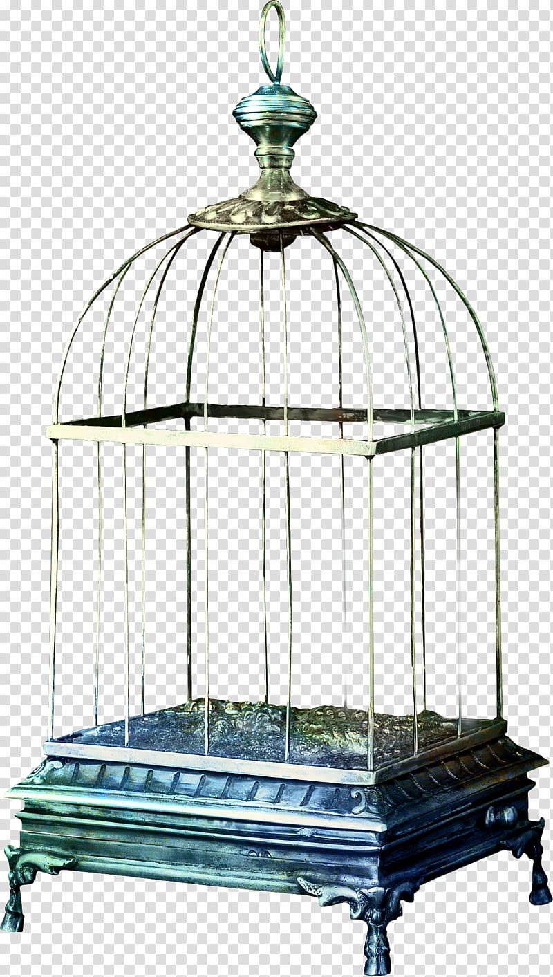 Birdcage Birdcage , bird cage transparent background PNG clipart