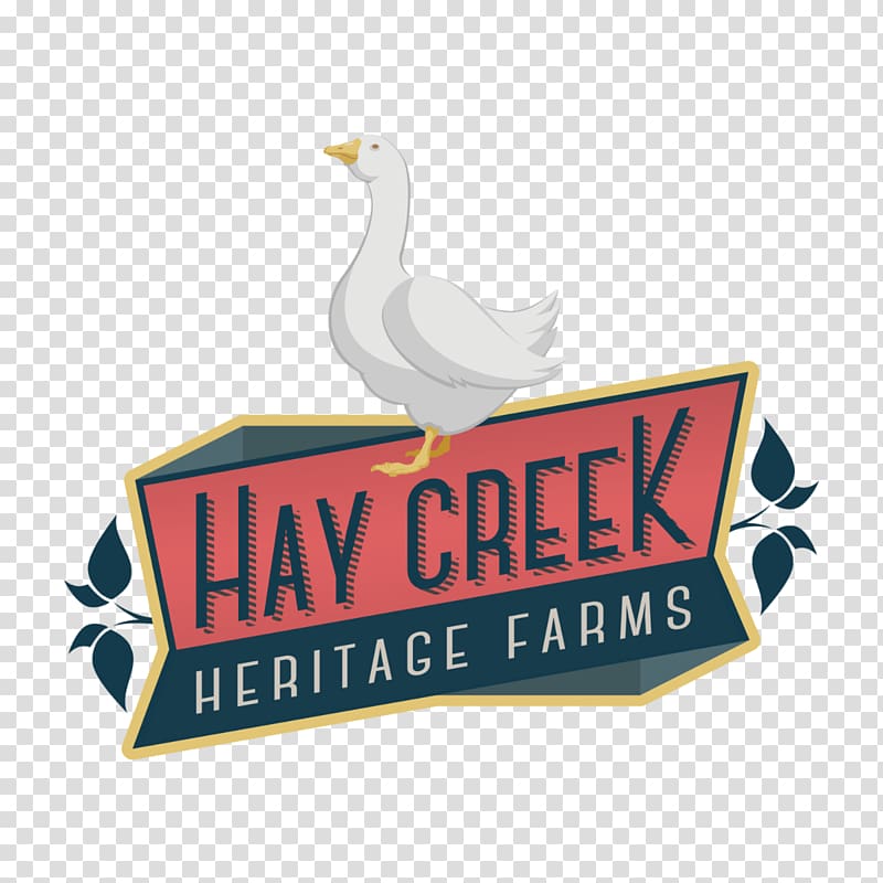 Cotton Patch goose Hay Creek Heritage Farms Chicken Cayuga duck, chicken transparent background PNG clipart