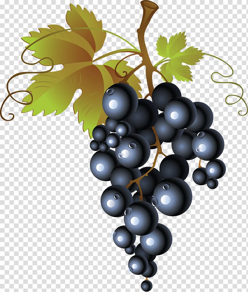 Common Grape Vine White wine Smoothie, cherries transparent background PNG clipart