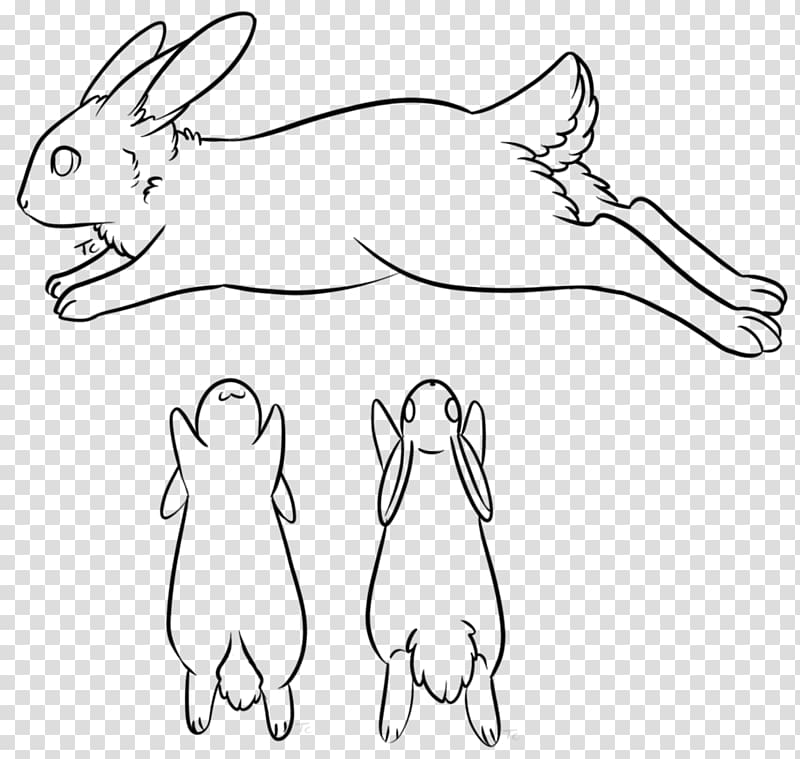 Domestic rabbit Hare Drawing Whiskers, based line drawing transparent background PNG clipart