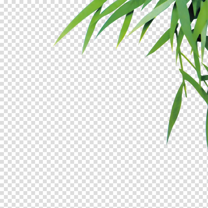 green leafed plant, Bamboo Leaf Euclidean , bamboo transparent background PNG clipart