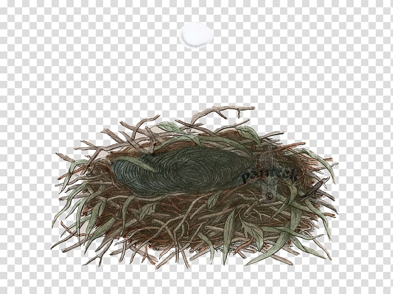 Church Stretton Nest Holiday Hideaway Cottage Holiday Home Area of Outstanding Natural Beauty, nest transparent background PNG clipart