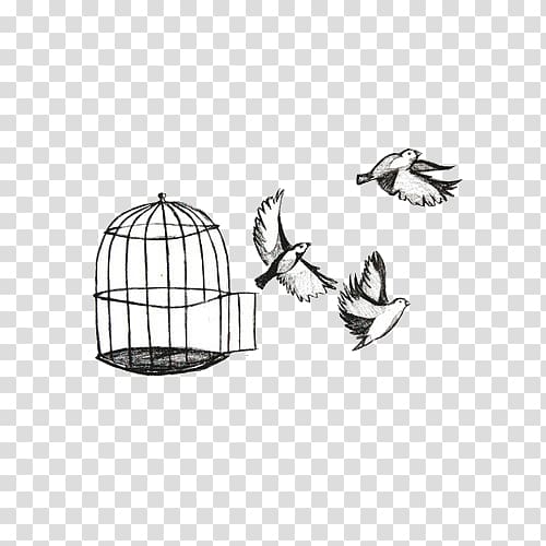 Birdcage Birdcage Drawing Bird flight, Discount Bird Cages transparent background PNG clipart