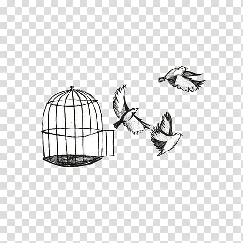 Bird Cage Vector Stock Illustrations – 6,168 Bird Cage Vector Stock  Illustrations, Vectors & Clipart - Dreamstime