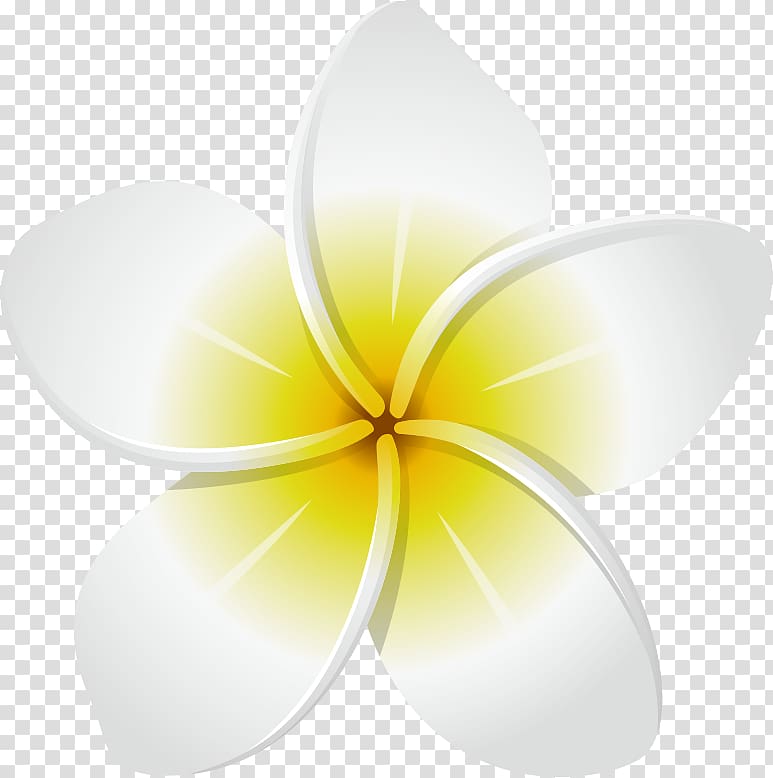 Yellow Flower , frangipani transparent background PNG clipart