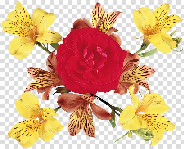 Alstroemeriaceae Cut flowers Floral design Flower bouquet, flower transparent background PNG clipart