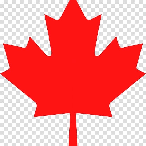 Canada Maple leaf , Canada transparent background PNG clipart