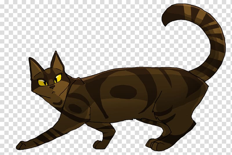 The Sun Trail Kitten Whiskers Warriors Cat, creative wind transparent background PNG clipart