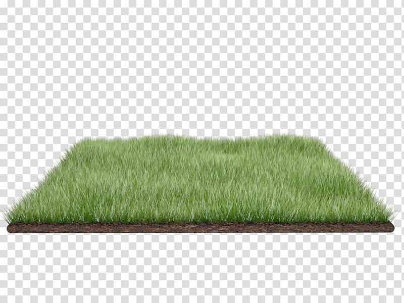 Lawn , A meadow transparent background PNG clipart