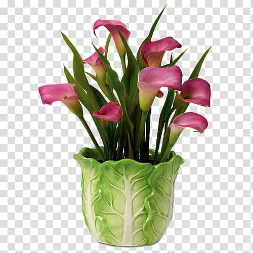 Floral design Cut flowers Flower bouquet Arum-lily, flower transparent background PNG clipart