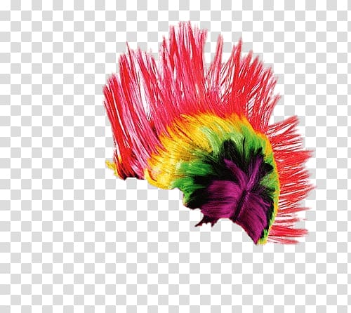 abstract painting , Wig Punker Rainbow transparent background PNG clipart