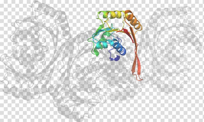 Organ Character , Methyltransferase transparent background PNG clipart