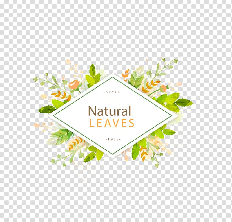 Natura leaves log o, Leaf Euclidean , green leaf frame title transparent background PNG clipart