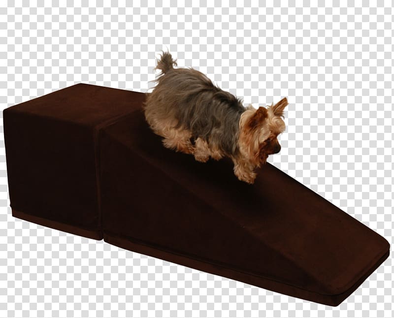 Dog breed Yorkshire Terrier Pet Inclined plane Veterinarian, brown dog transparent background PNG clipart