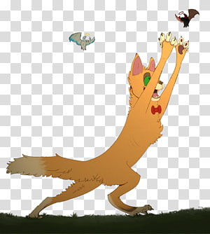 Cat Canidae Dog , Cat transparent background PNG clipart thumbnail