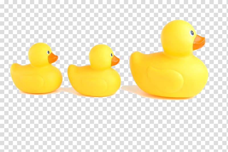 Duck Toy Animal, Three small yellow duck transparent background PNG clipart